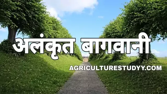 अलंकृत बागवानी किसे कहते है इसका महत्व एवं अलंकृत उद्यानों के प्रारूप, भारत में अलंकृत बागवानी का महत्व एवं भविष्य, अलंकृत बागवानी की वर्तमान स्थिति,