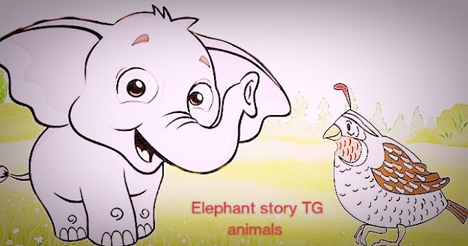 The Sparrow and the Elephant story in Telugu | TG animals Stories 2022