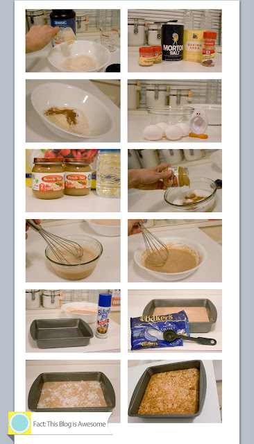 Stephanie Drummond, fact this blog is awesome, homemade protein bars, DIY, do it yourself