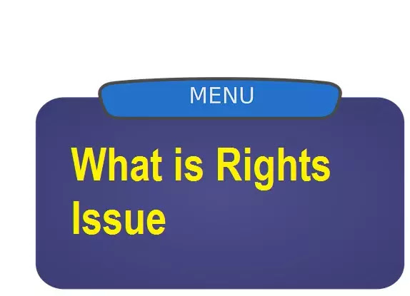 What is Rights Issue