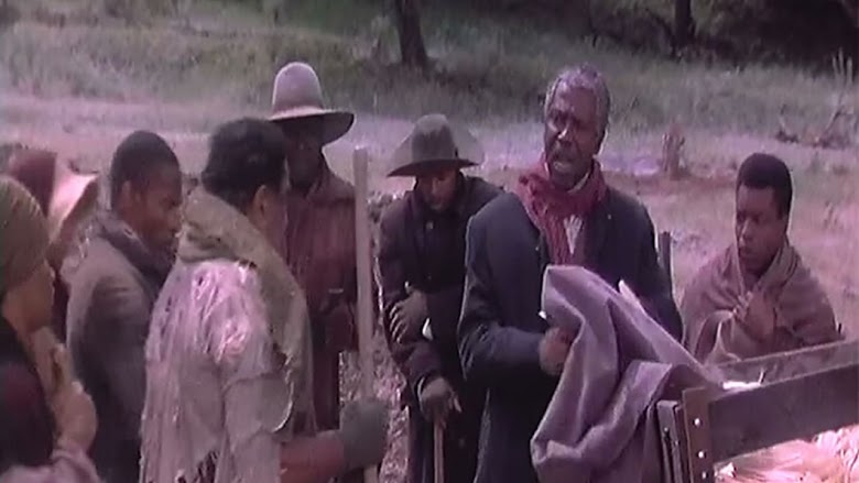 Roots: The Gift (1988)