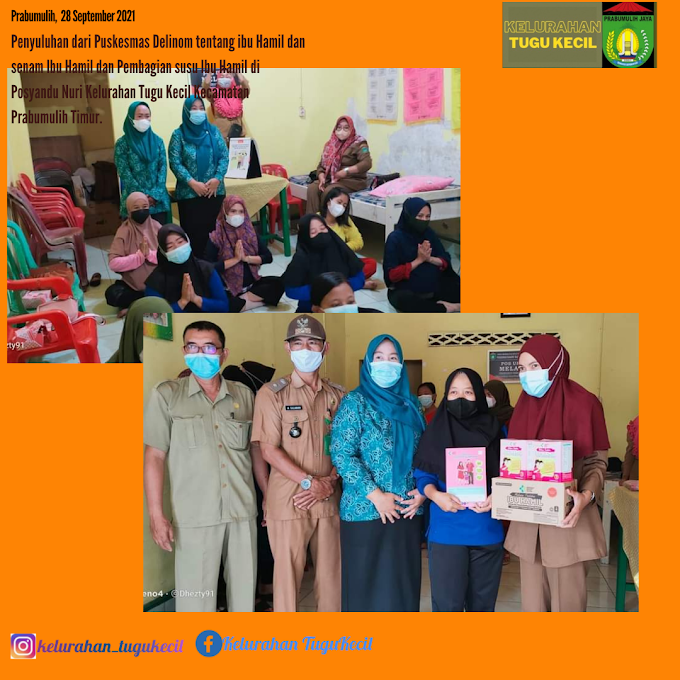 Penyuluhan dari Puskesmas Delinom untuk Kelas Ibu Hamil.