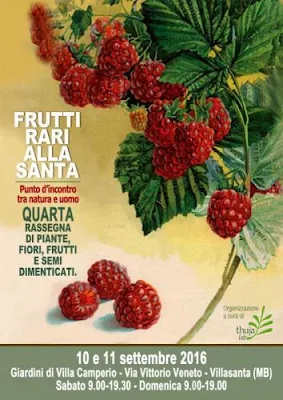 “Frutti Rari alla Santa” 2016