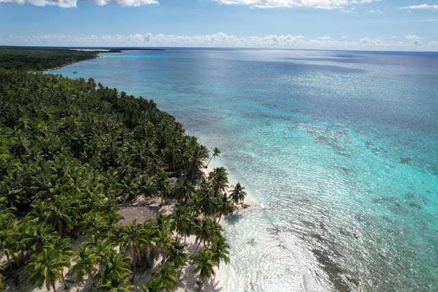 Ilha Saona