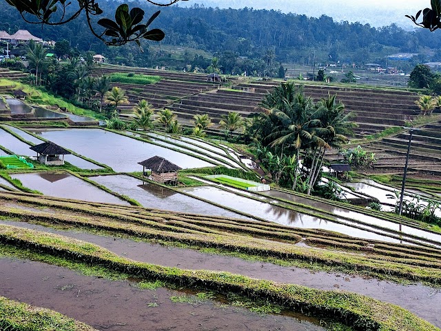 Bali Finder, Menikmati Keindahan Pulau Bali yang Sungguh Indah