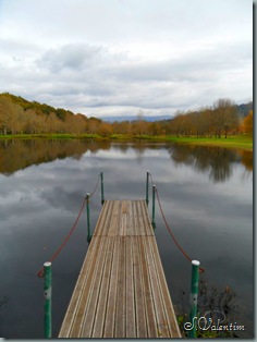 SAM_2009