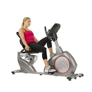 Sunny Health & Fitness SF-RB4880 Powersync Magnetic Recumbent Exercise Bike, image, review features & specifications