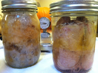 Canning Chicken with and without bones