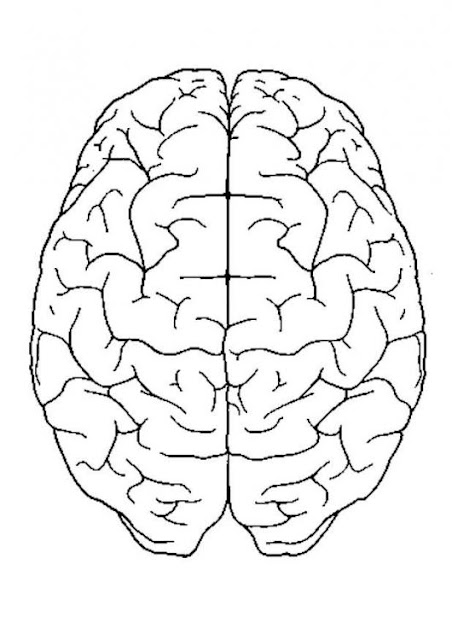 Brain View6