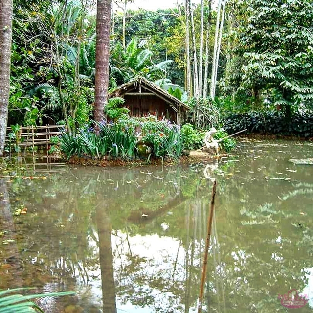 Jardim Botânico  - Região Amazônica