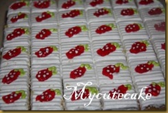 Kek 10.4.2011 002