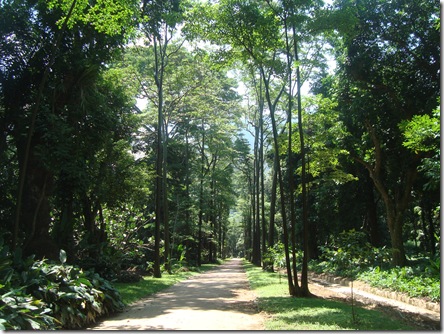 DSC06313