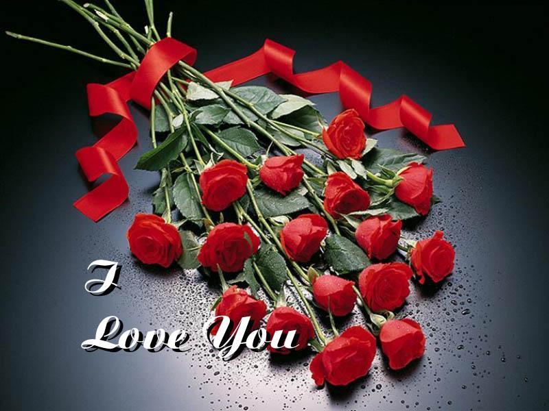 Red rose means love,if you love you quotes wallpaper. Red rose means love,if you