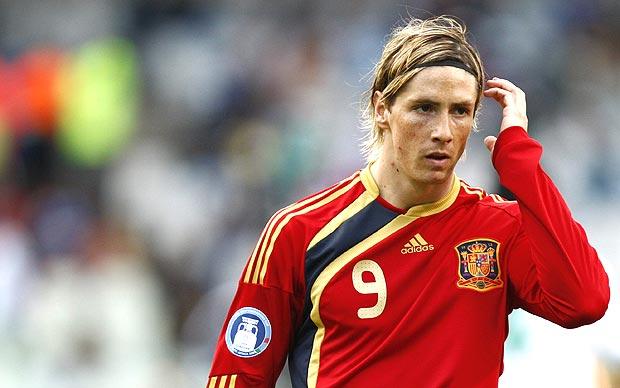 fernando torres spain