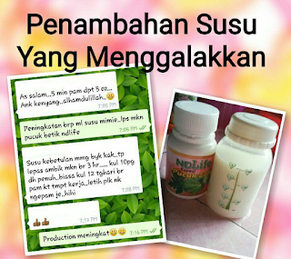 Testimoni Penghasilan Susu Ibu Lebih Cepat - Daun Betik NDLife