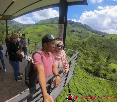 Di Atas Anjung Tinjau Boh Tea Centre