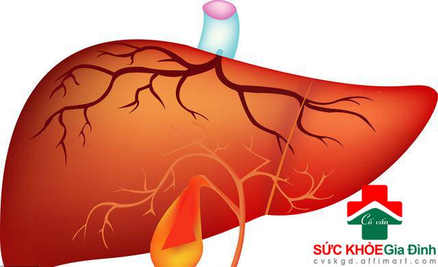 10 điều làm nội tạng sợ