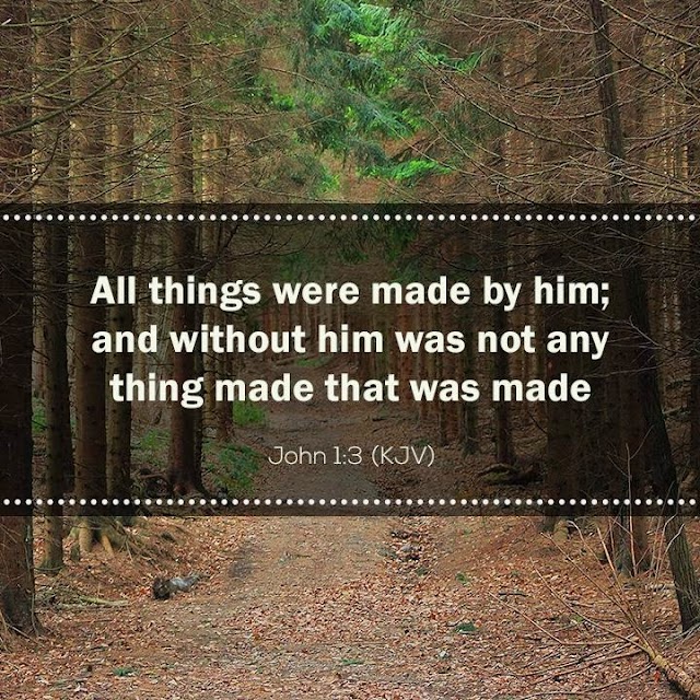 All things were made by Jesus