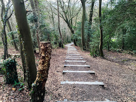 Trosley Country Park, steps down.  27 March 2015.