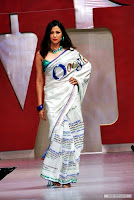 (G)oogle Themed Saree