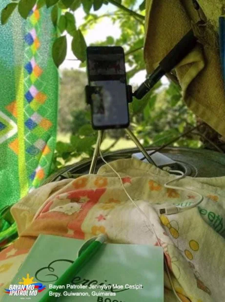 Grandpa builds study area on tree