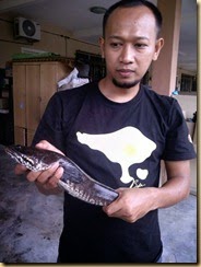 Bubu Haruan  (4)