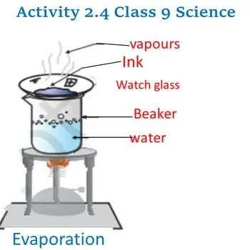 Activity 2.4 NCERT Class9 Science Is Matter Around Us Pure