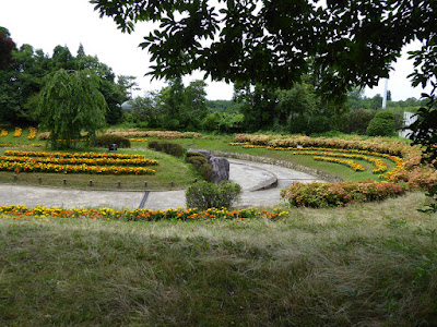 花博記念公園鶴見緑地 花の谷 マリーゴールドの花壇