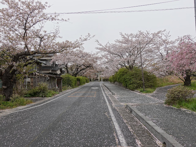 鳥取県西伯郡大山町名和　名和神社　参道