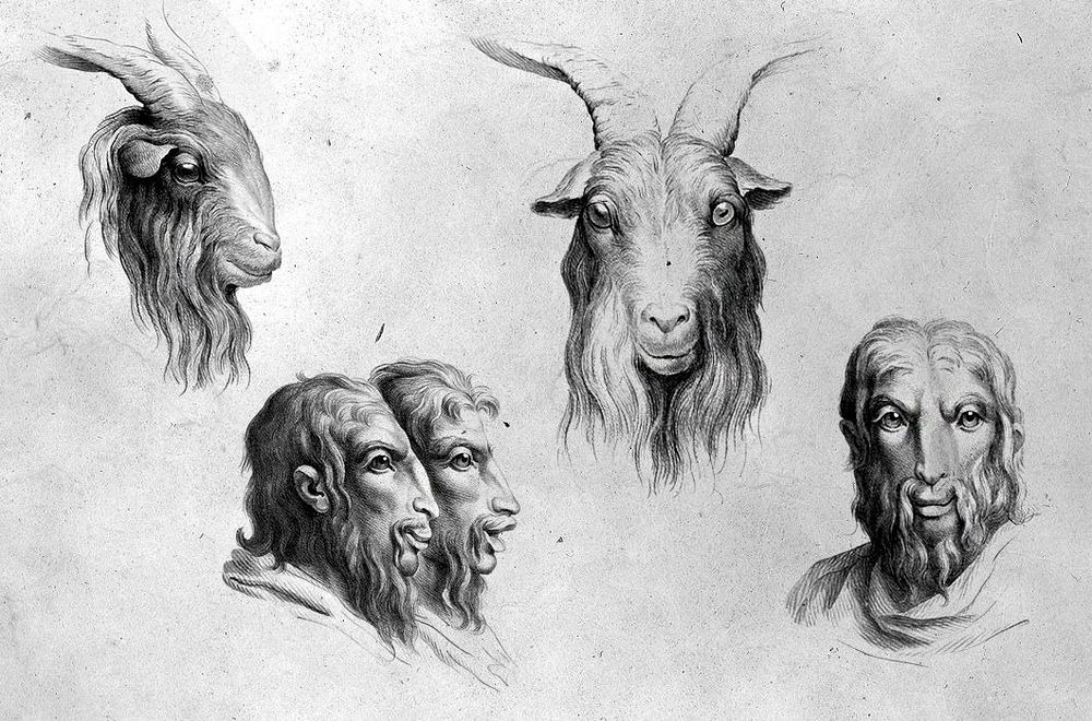 charles-le-brun-physiognomic-heads-13 charles-le-brun-physiognomic-heads-13