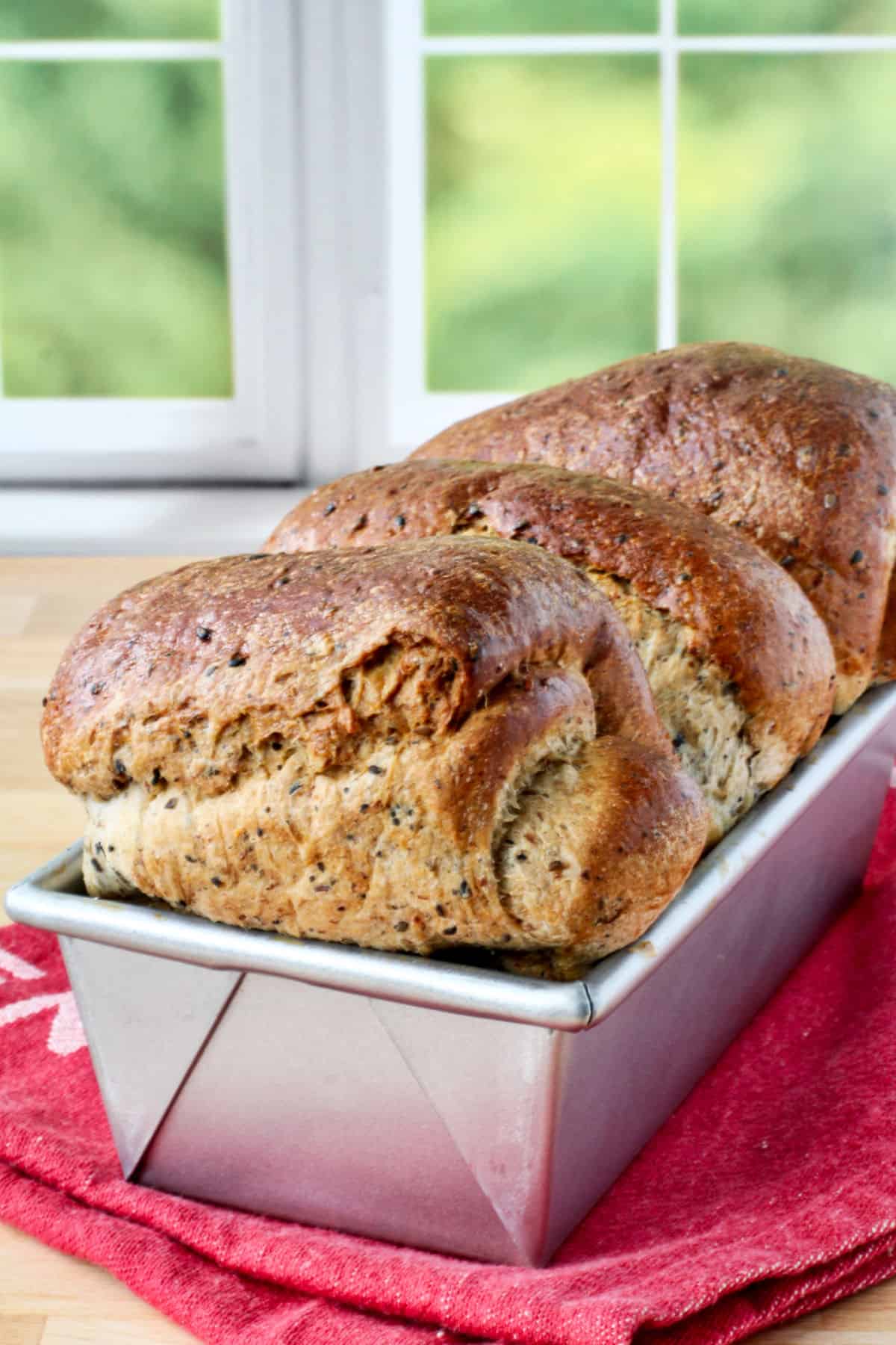 Black Sesame Shokupan (Japanese Milk Bread with Yudane) in bread pan.