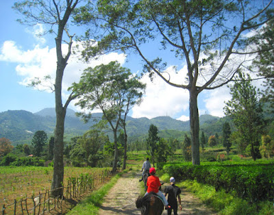 Gunung Mas Puncak