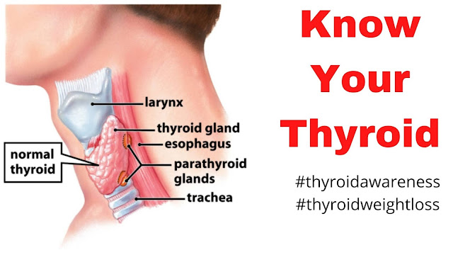 thyroid weight loss