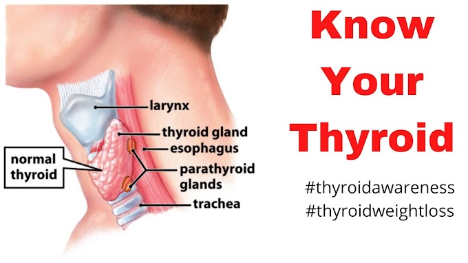 Hypothyroidism, Thyroid Disease, and Thyroid Weight Loss: Things you must know