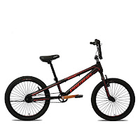 20 pacific hotshot xcr 3.0 torpedo bmx