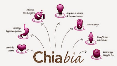 ประโยชน์ของเมล็ดเจีย / เมล็ดเชีย / Chia Seed 2