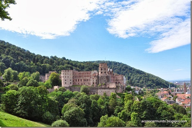 78-Heidelberg. Castillo - DSC_0147