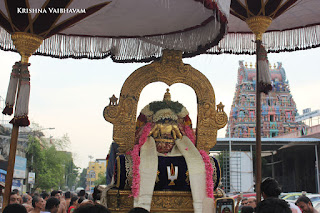 Rohini,Vaigasi, Purappadu,Video, Divya Prabhandam,Sri Parthasarathy Perumal, Triplicane,Thiruvallikeni,Utsavam,