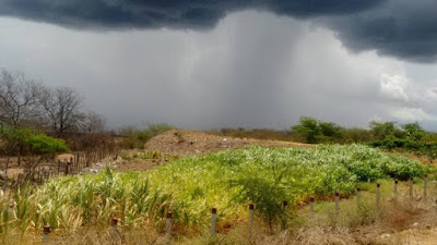 Resultado de imagem para chuva no rn