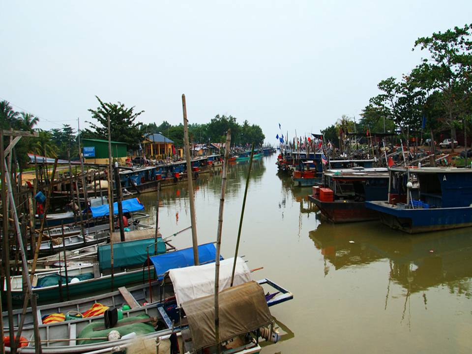 CT: ASAM PEDAS @ PARIT JAWA, MUAR