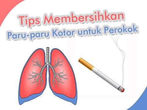 Anda Perokok ? Begini Cara Praktis Bersihkan Racun Rokok Pada Paru-Paru Secara Alami