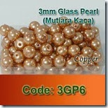 3GP6 copy