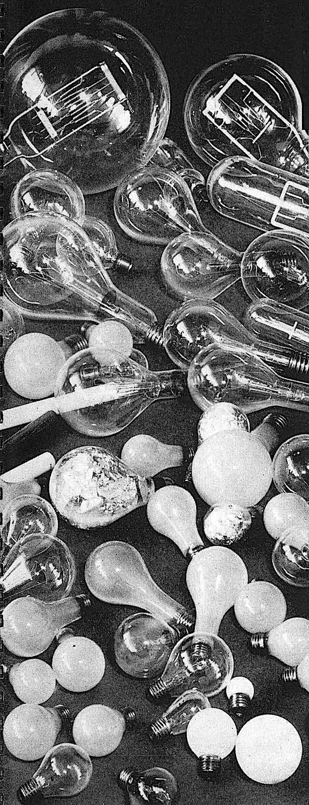 a photograph of many different 1938 light bulbs