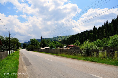 Cotargasi, Brosteni - Suceava, Bistrita, Ion Creanga, Kaczyka. Landscapes, Moldova, Romania, 