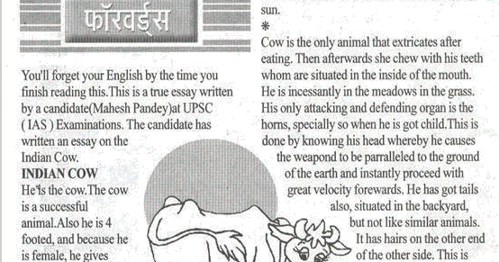 The Cow Essay | Paragraph & 10 Lines on Cow ()