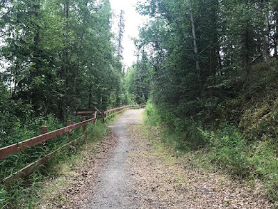 Path to the Kenai River from Lone Moose