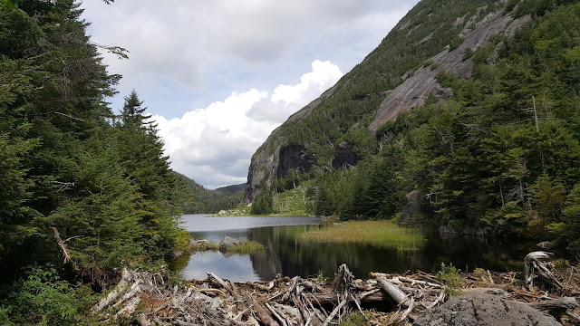 Vue à partir du Avalanche Pass Trail