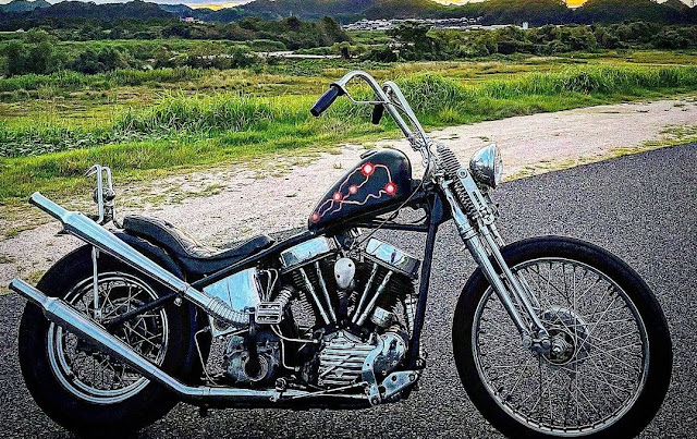 Harley Davidson Panhead By Bobber Man