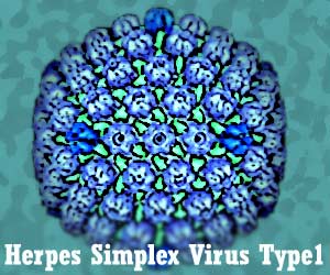 cara menyembuhkan herpes