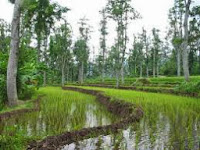 Kelurahan Pecalukan-Tretes